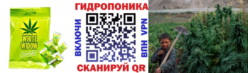Еда ТГК конопля  Купить где  Выборг 