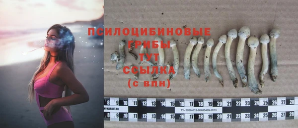меф Козловка