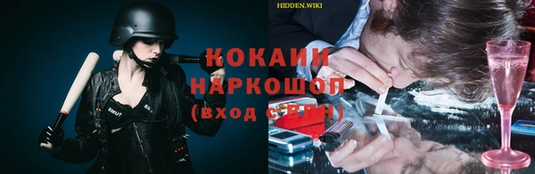 мяу мяу мука Кодинск