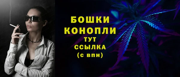 гидра Козельск