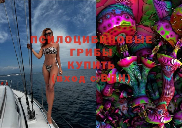Альфа ПВП Белая Холуница