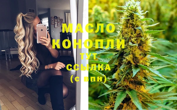 гидра Козельск
