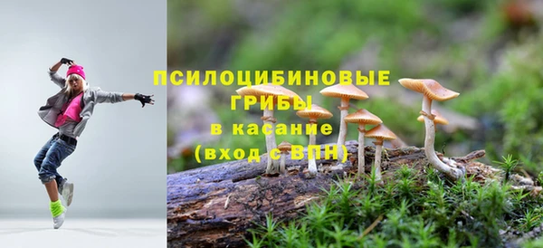 Альфа ПВП Белая Холуница