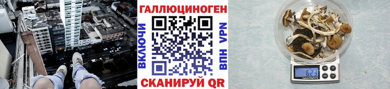 Галлюциногенные грибы Psilocybine cubensis  Купить где  Выборг 